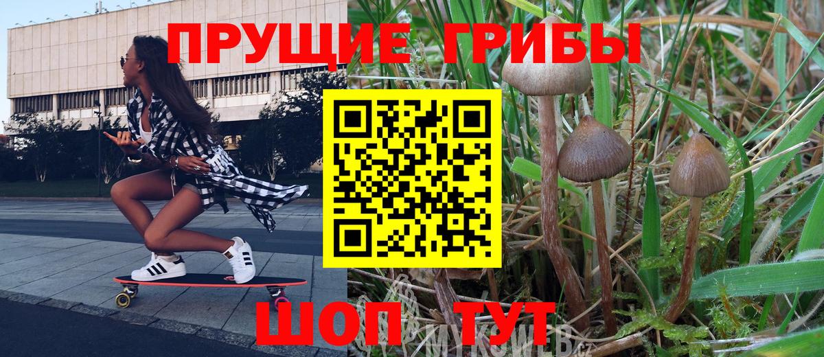 Галлюциногенные грибы мицелий Дальнереченск