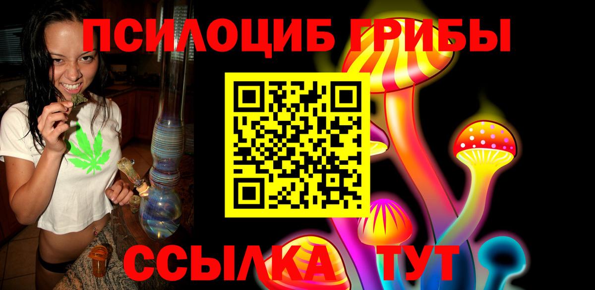 Дальнереченск  Галлюциногенные грибы Psilocybe  Галлюциногенные грибы мицелий  Вход с VPN 